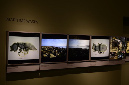 Wasp_exhibition__DSC3404